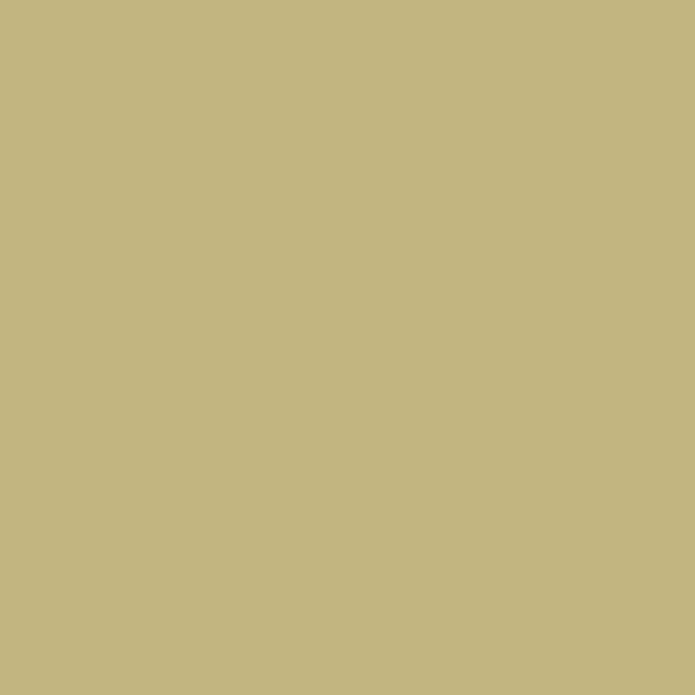 Sandcastle-1_b567a151-e763-43dc-b29f-ea9dd2581edf.png