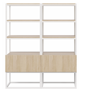 Xena_II_Shelving_Unit.png