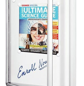 neo-notice-case.jpg